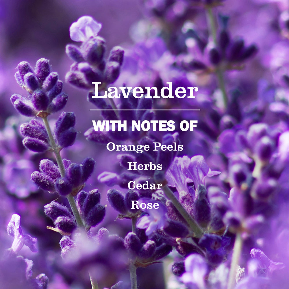 Lavender Plug In Scented Oil Warmer With Refill