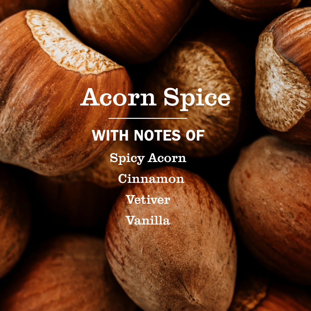 Mrs. Meyer's Acorn Spice Kitchen Basics Set