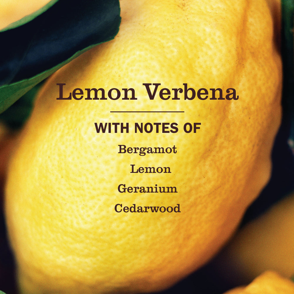 Mrs. Meyer's Lemon Verbena Dish Soap Refill
