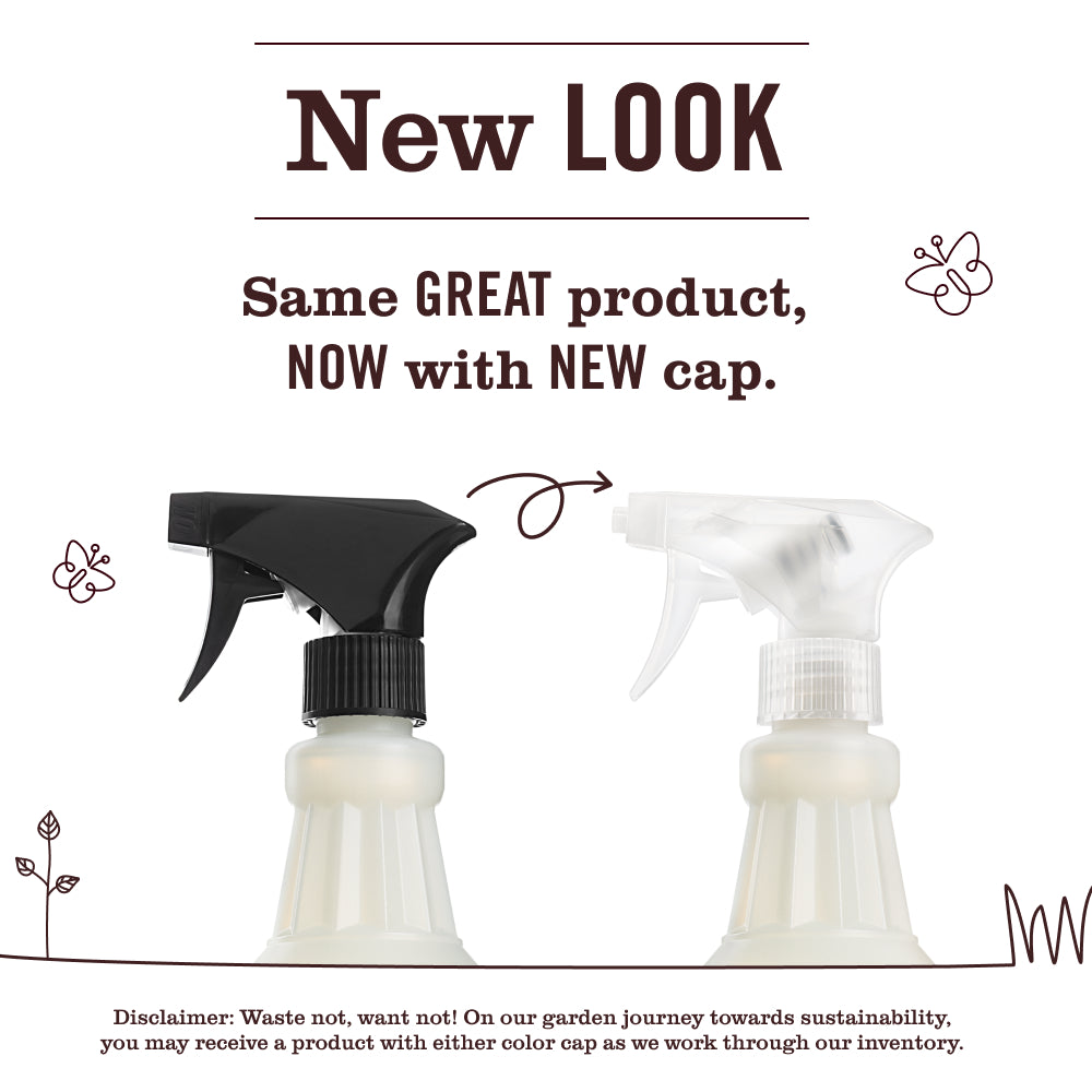 Elderberry Multi-Surface Everyday Cleaner