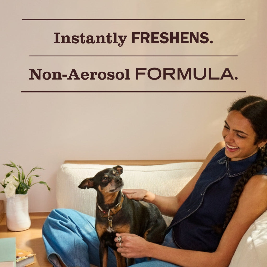 Mrs. Meyer's Mint Room Freshener