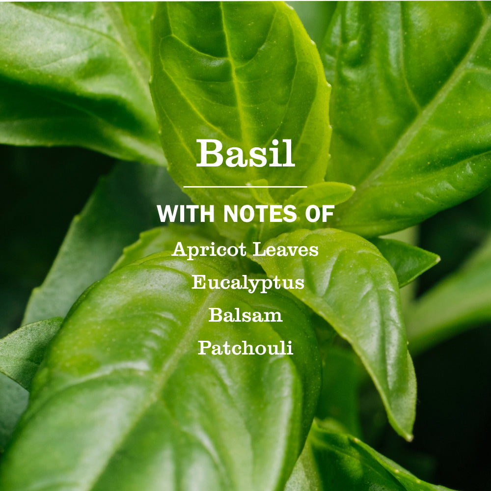 Mrs. Meyer's Basil Multi-Surface Concentrate