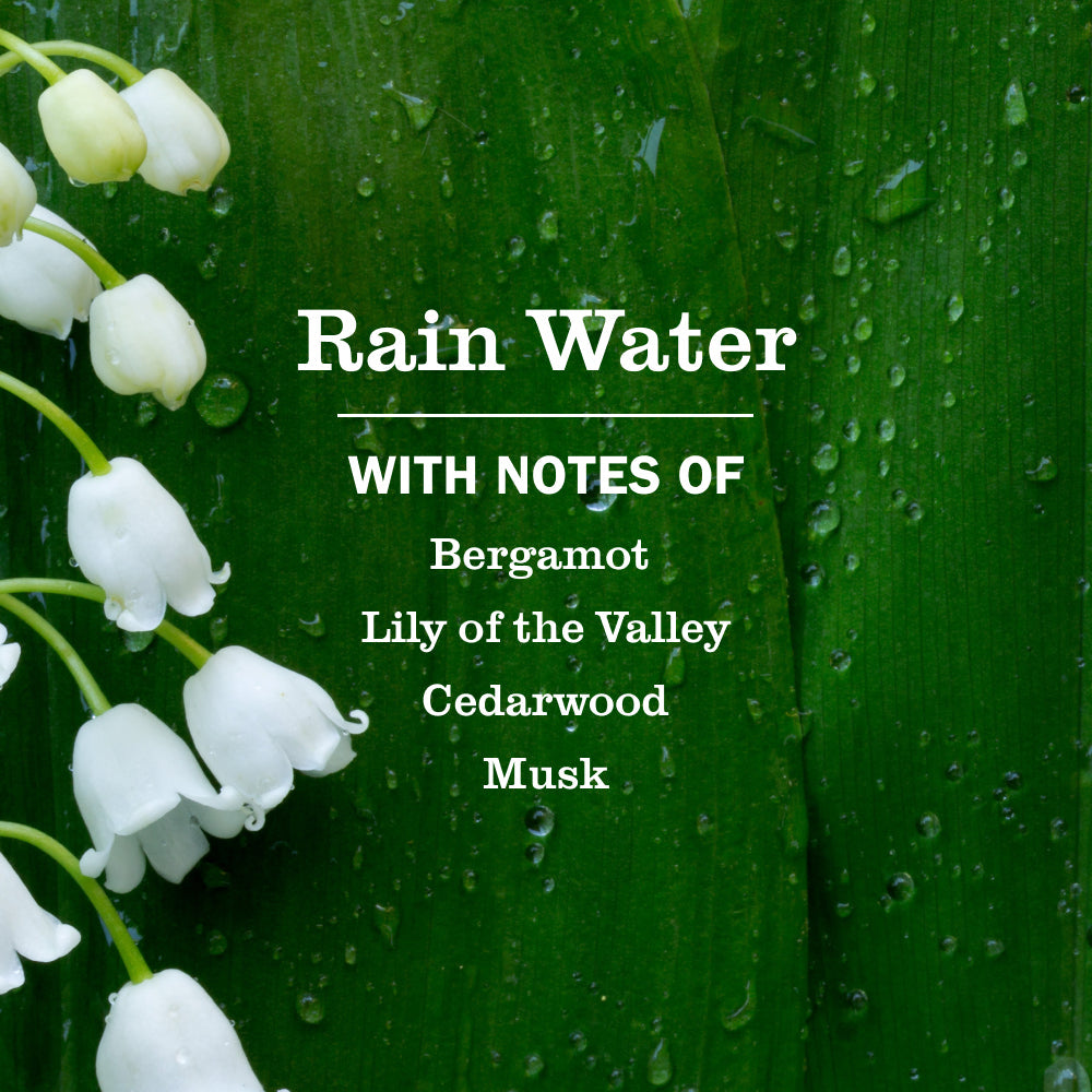 Rain Water Multi-Surface Concentrate